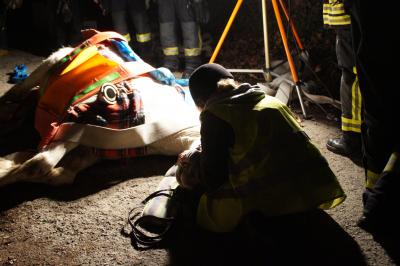 Stuttgart: Tierrettung endet tragisch